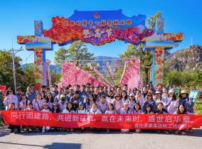 美智团队生活
