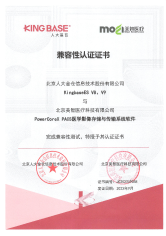 人大金仓数据库