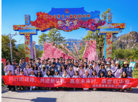 美智团队风采